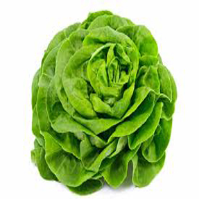 Iceburg Lettuce