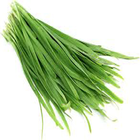 Garlic Chives