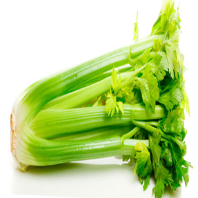 Celery