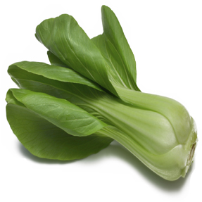 Bok choy