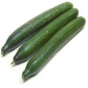 Cucumber