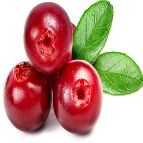 Cranberries