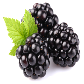 Blackberry