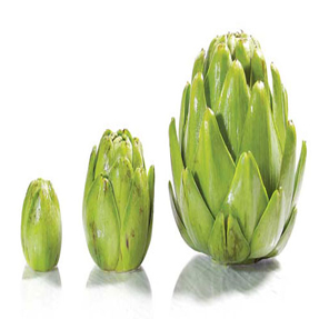 Artichoke