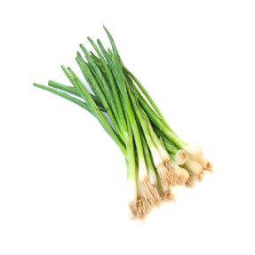 Onion Chives